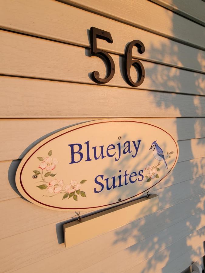 Bluejay Suites B&B Whitehorse Bagian luar foto